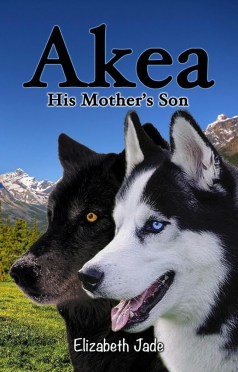 Akea 2 cover
